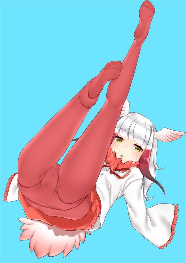 けものフレンズについてのエロ画像