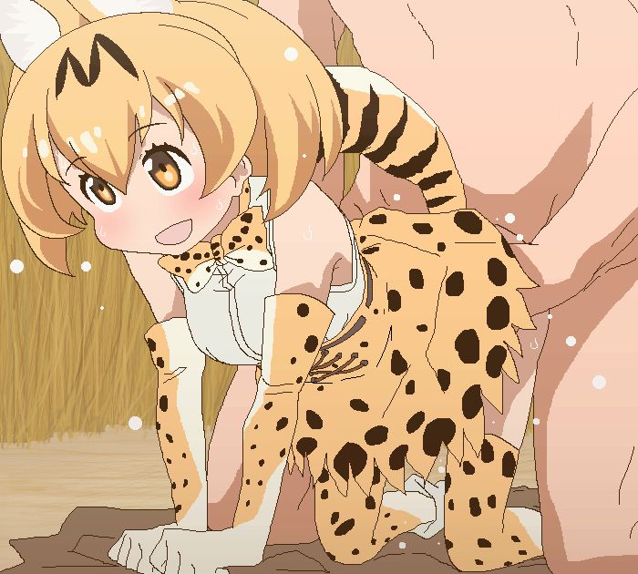 けものフレンズの二次エロ画像を愛でる。