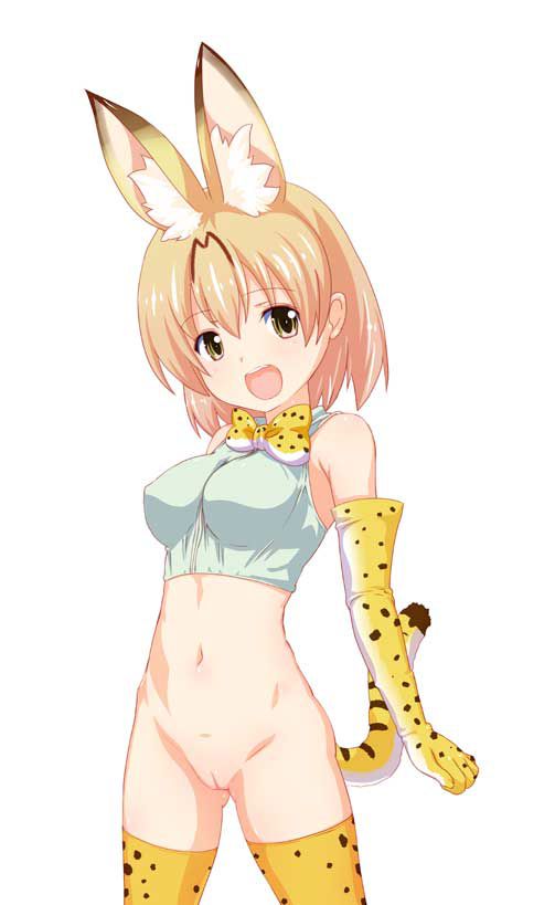 けものフレンズのエロ画像まとめ!