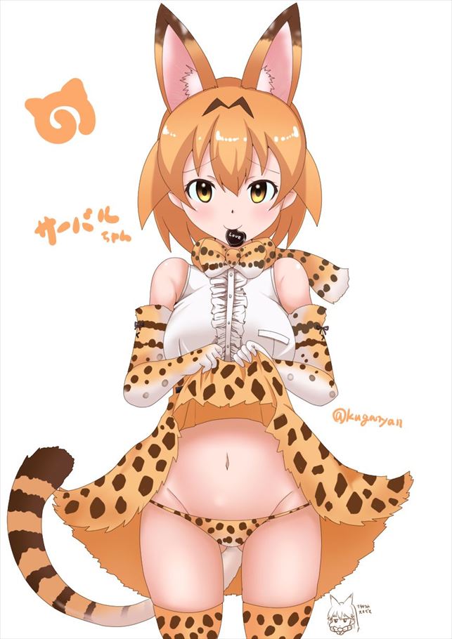 けものフレンズについてのエロ画像