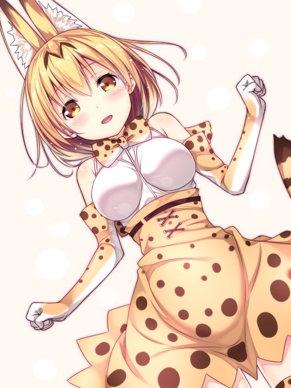 けものフレンズのエッチな魅力が分かるエロ画像