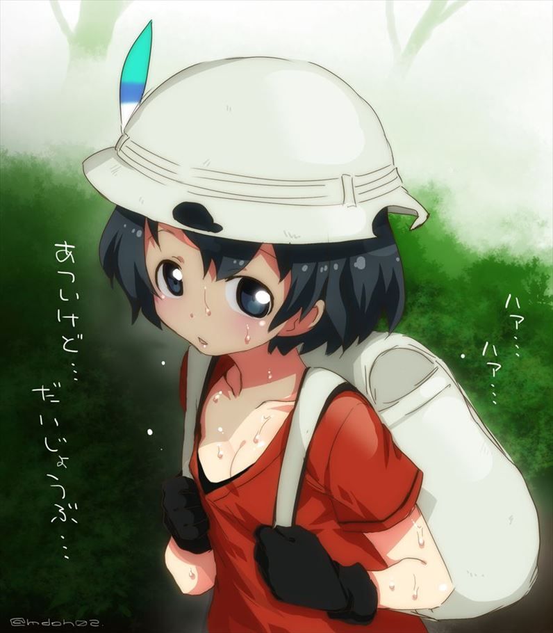 けものフレンズの画像倉庫がここです！