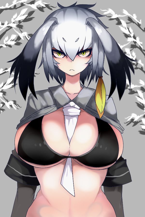 けものフレンズについてのエロ画像