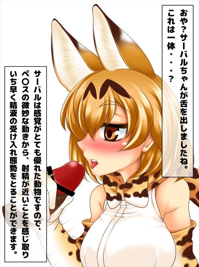 けものフレンズの画像倉庫がここです！