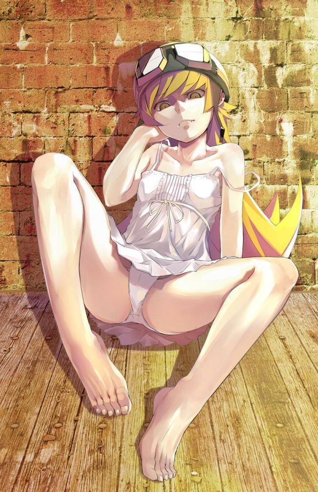 物語シリーズのよさを再確認できるエロ画像