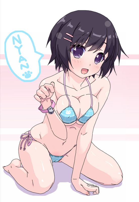 物語シリーズのオナネタ画像を集めたよー!!