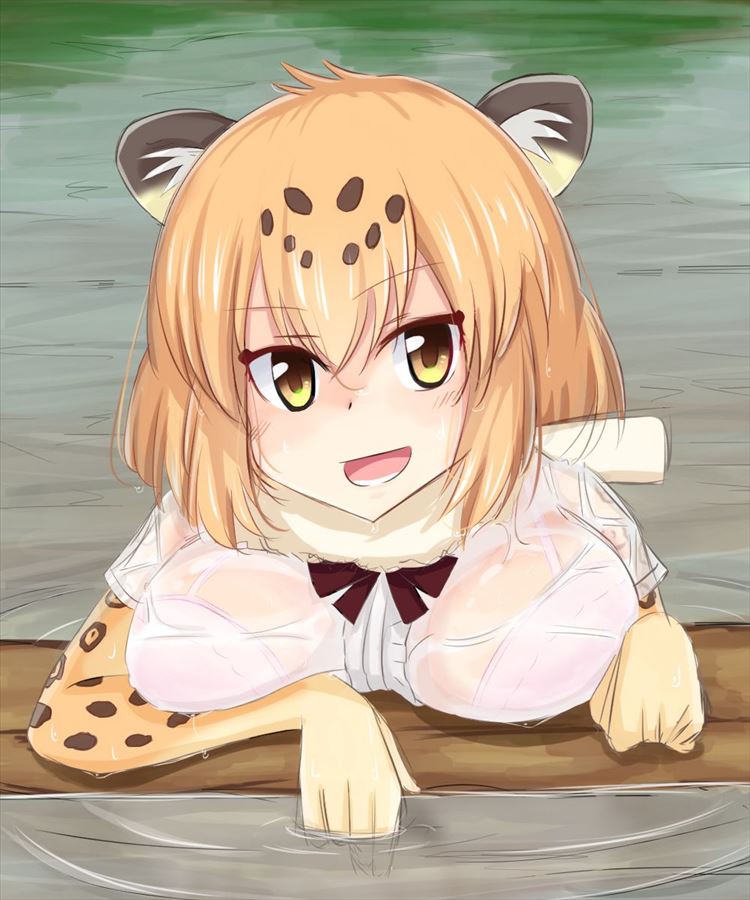 けものフレンズの画像で一発ヌキたい