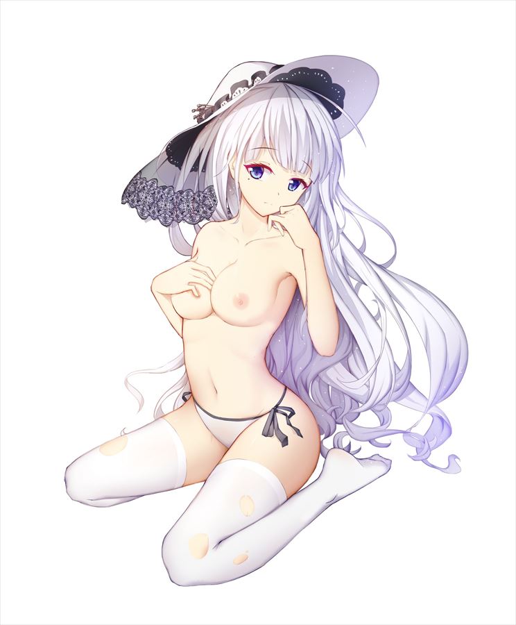アズールレーンのよさを痛感できるエロ画像ください