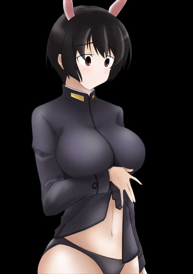 ストライクウィッチーズが好きすぎて画像がいくらあっても足りない