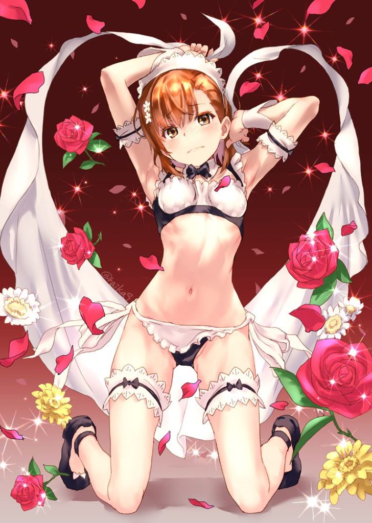 オカズにできそうなメイドの二次エロ画像はいかがですか?