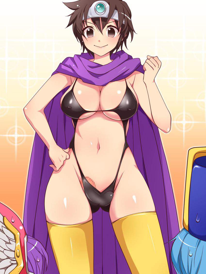 ドラゴンクエストの抜けるエロ画像まとめ!