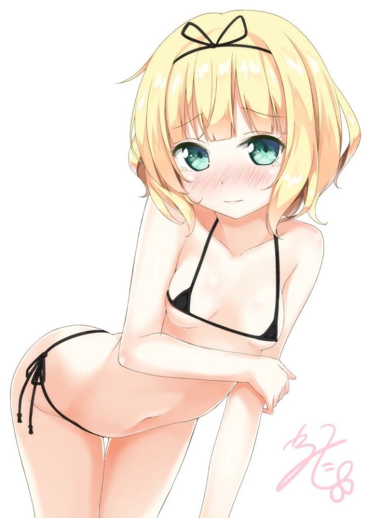 ビキニの二次エロ画像