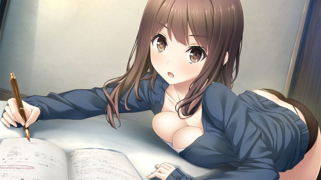 主観の二次エロ画像を愛でる。