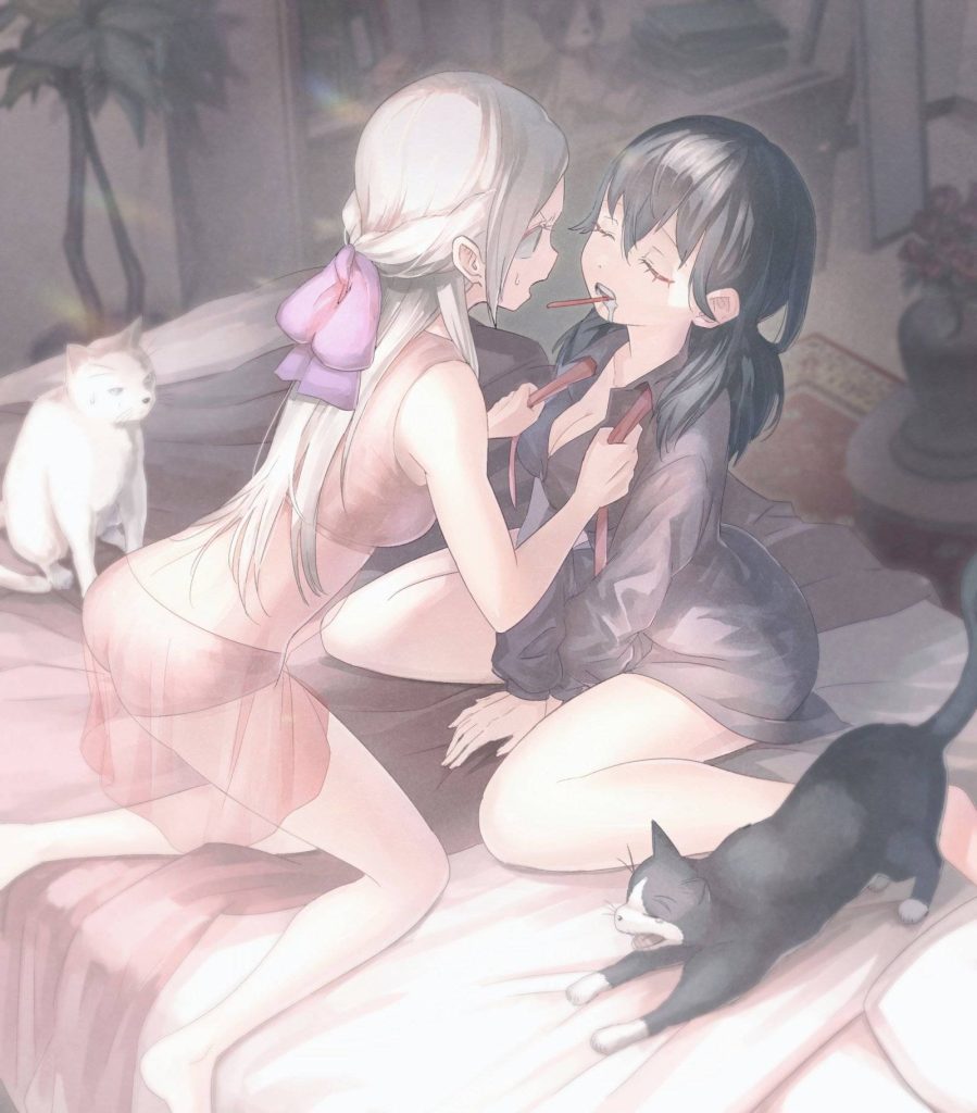 ファイアーエムブレムのエロ画像がほしい!