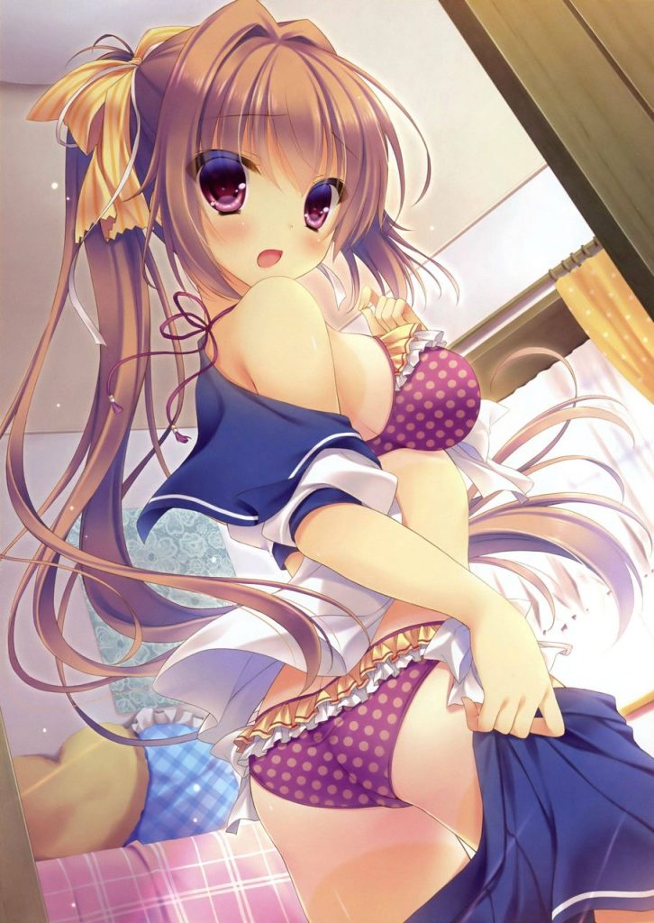 パンツ・下着の二次エロ画像で!