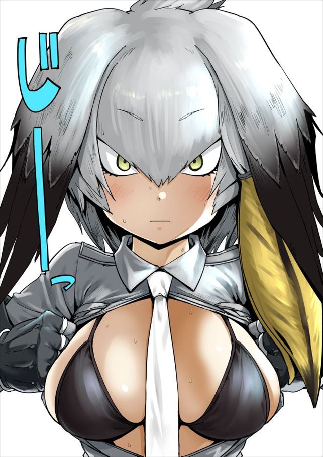 けものフレンズの画像倉庫がここです!