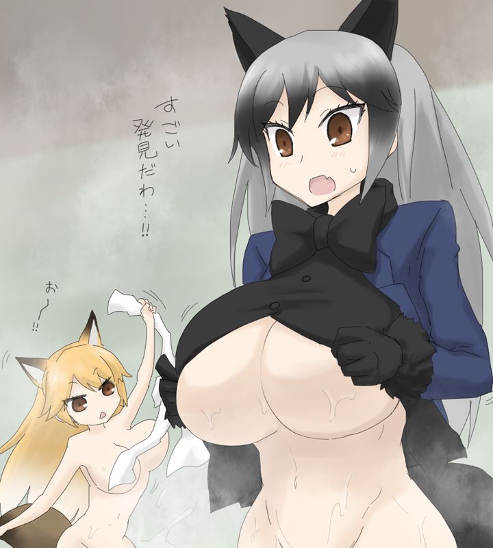 けものフレンズの画像倉庫がここです!