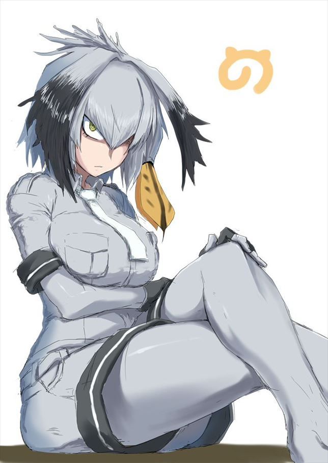 けものフレンズの画像倉庫がここです!