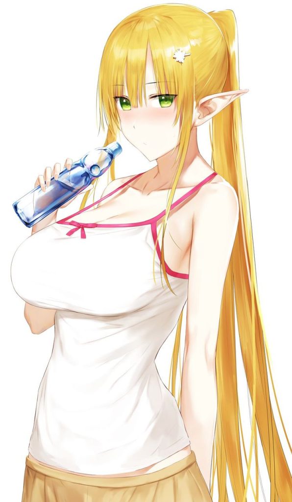 エルフ耳の二次フェチ画像。