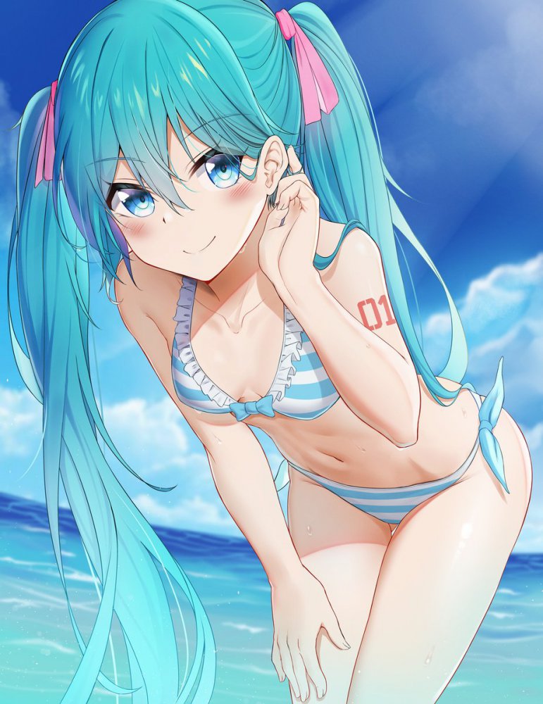 ボーカロイドのエロ画像で抜きたくなったから貼ってくよ