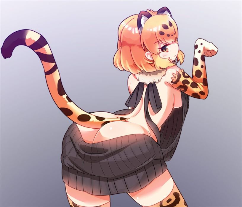 けものフレンズのエロ画像を集めてみた
