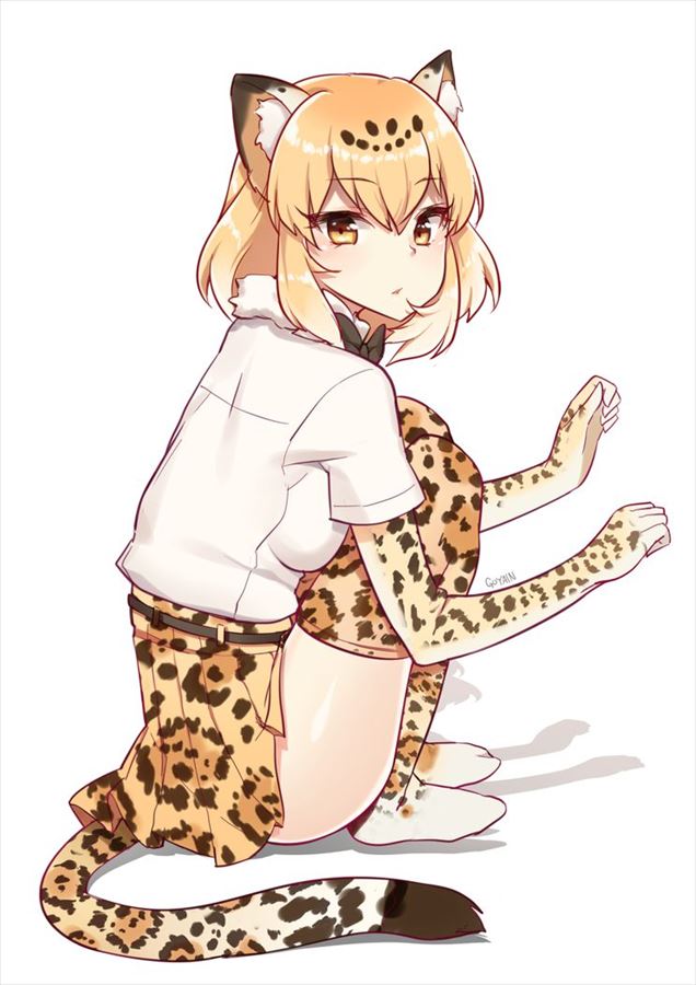 けものフレンズのエロ画像を集めてみた
