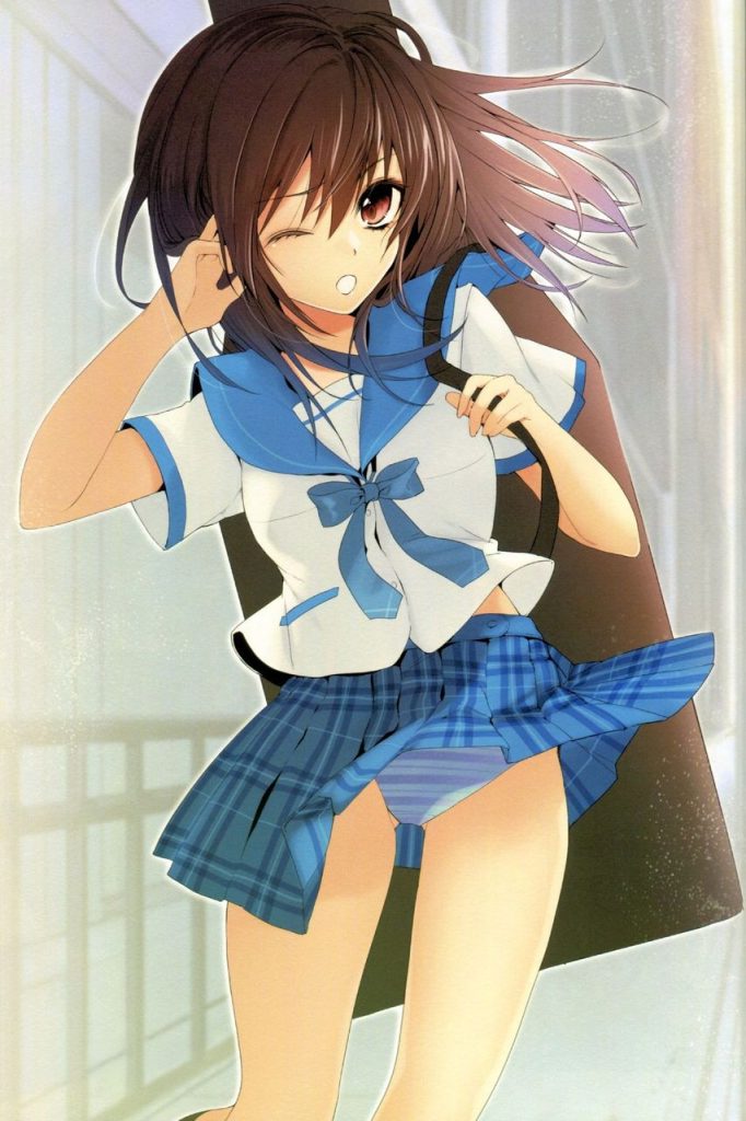 ラッキースケベの二次画像がヌけすぎてこまる件について