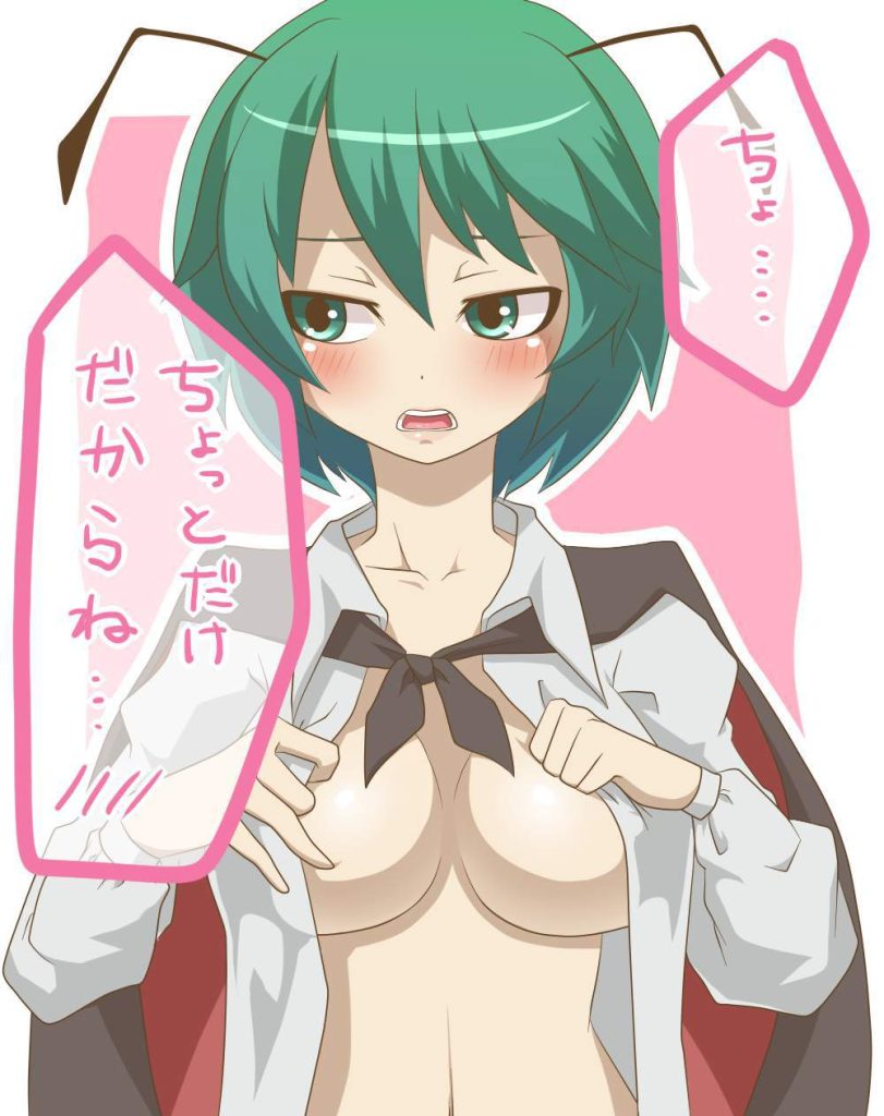 東方Projectの魅力についてエロ画像で検証