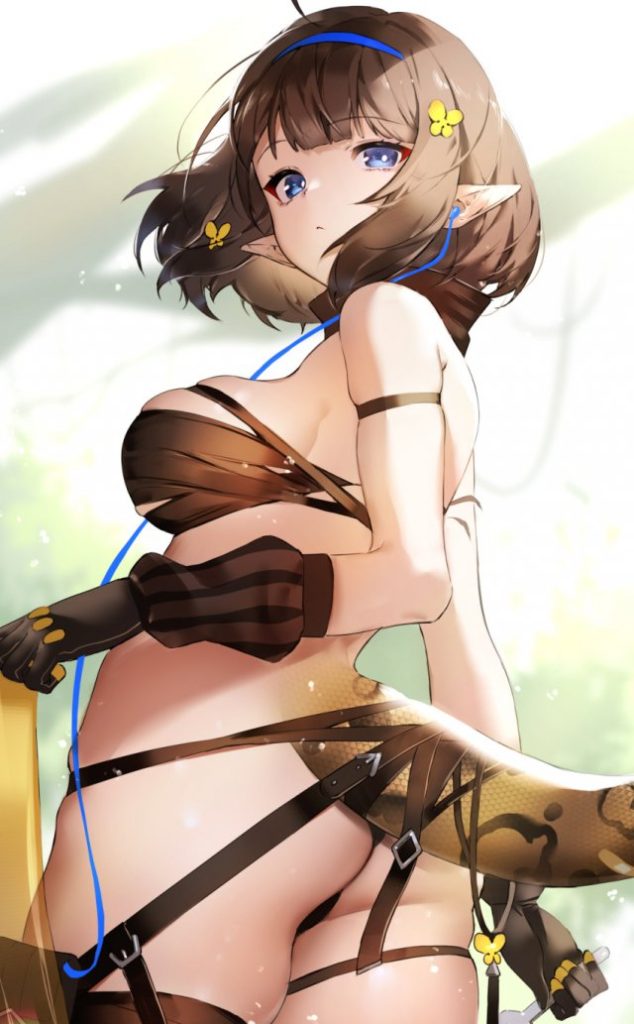 巨乳の二次エロ画像くだしあ。