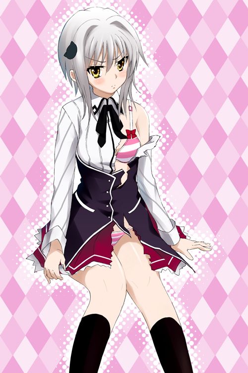 ハイスクールD×Dの二次エロ画像で！