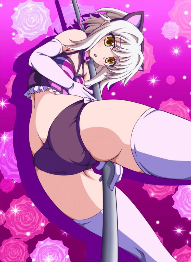 ハイスクールD×Dの二次エロ画像で！