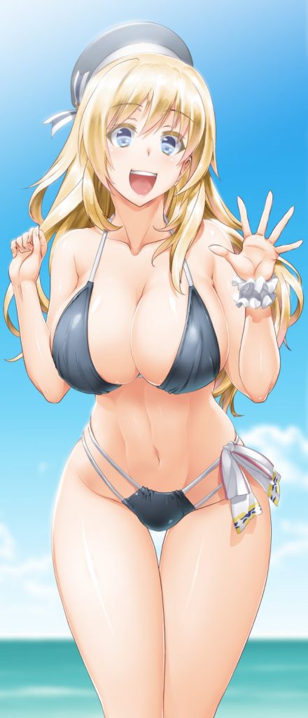 艦隊これくしょんは最高だぜぇぇ！！ってなるエロ画像