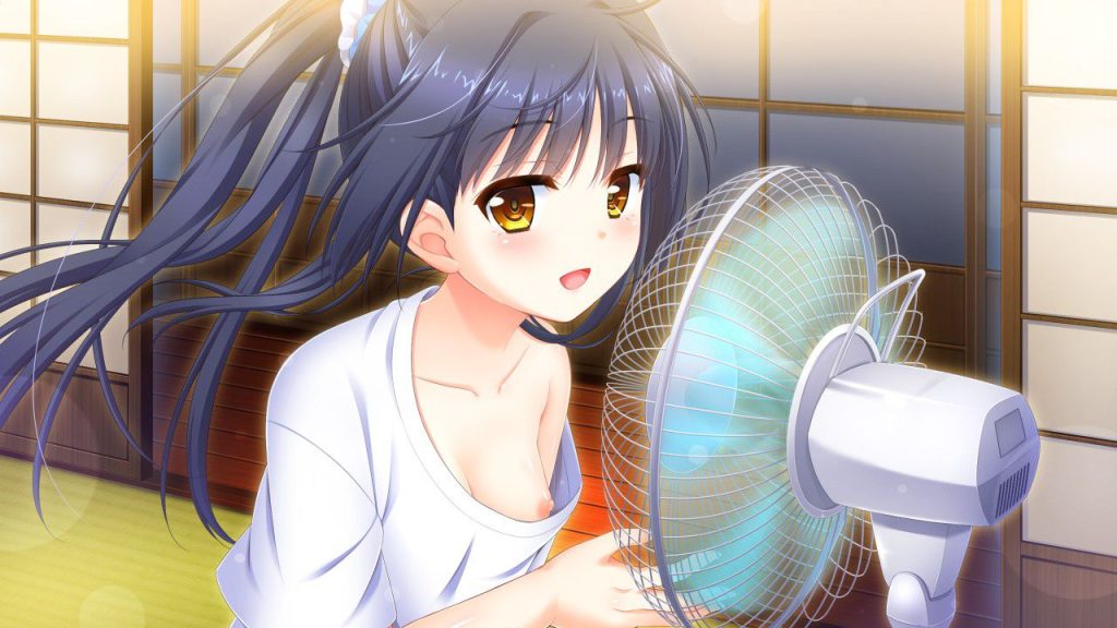 ラッキースケベの画像でとことんヌキヌキしたい