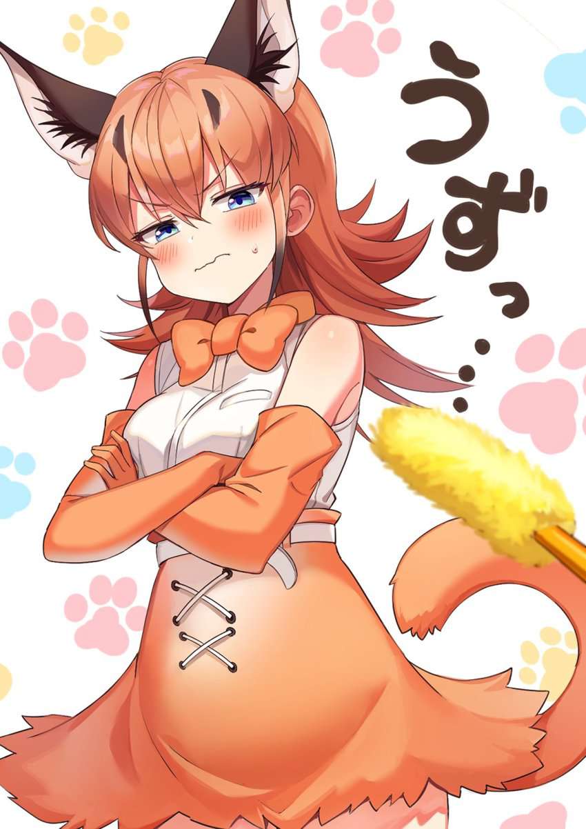 けものフレンズの二次フェチ画像。