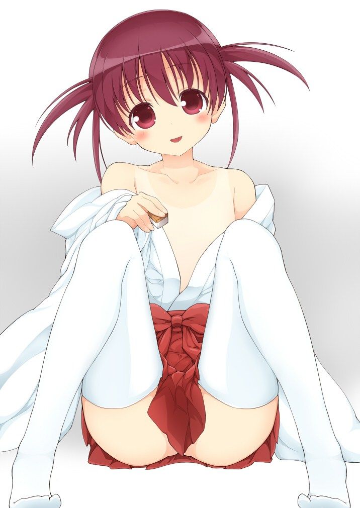 巫女の画像ってエロいよな？