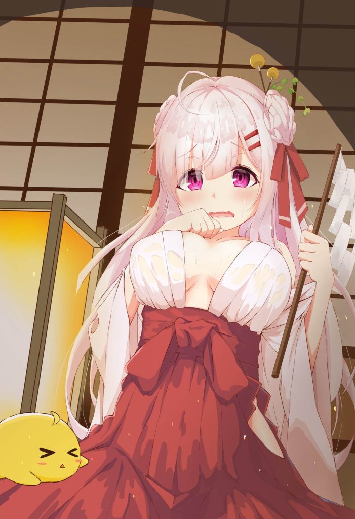 巫女の画像ってエロいよな？