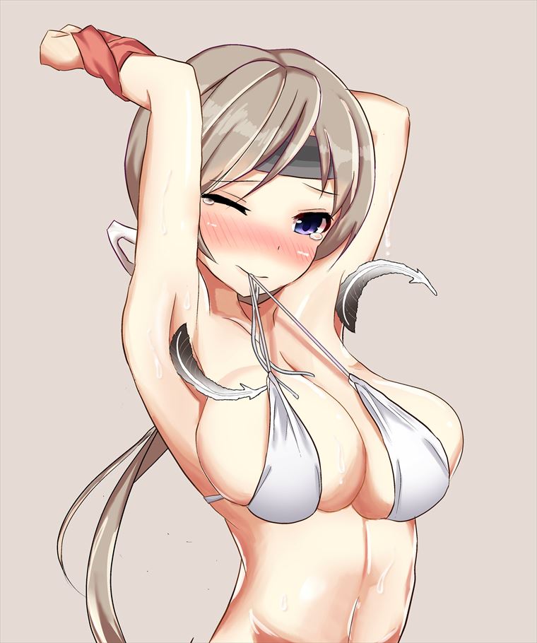 艦隊これくしょんのエッチな魅力が分かるエロ画像