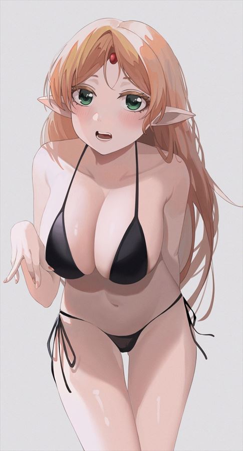 エルフのエロ画像フォルダを解放していく