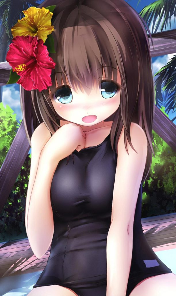 スク水のエロ画像フォルダを解放していく