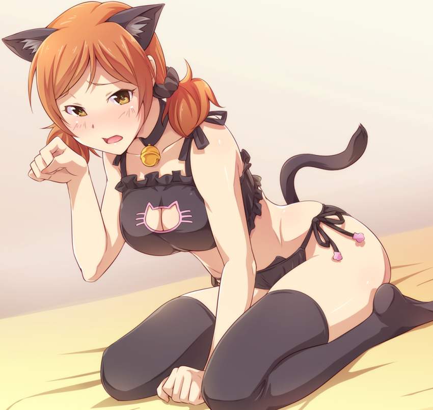 アイドルマスターシンデレラガールズのエロ画像下さい