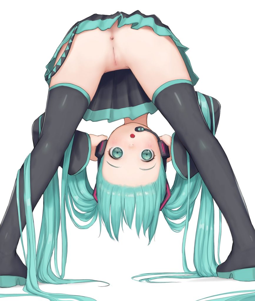 ボーカロイドのエロ画像まとめ！