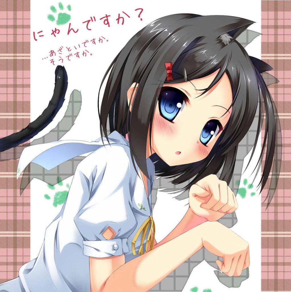 今夜のオナネタ画像はケモ耳でございます。