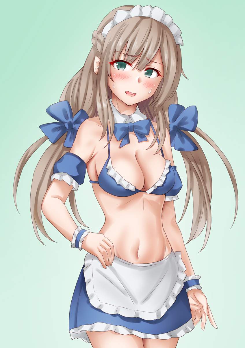 艦隊これくしょんについてのエロ画像