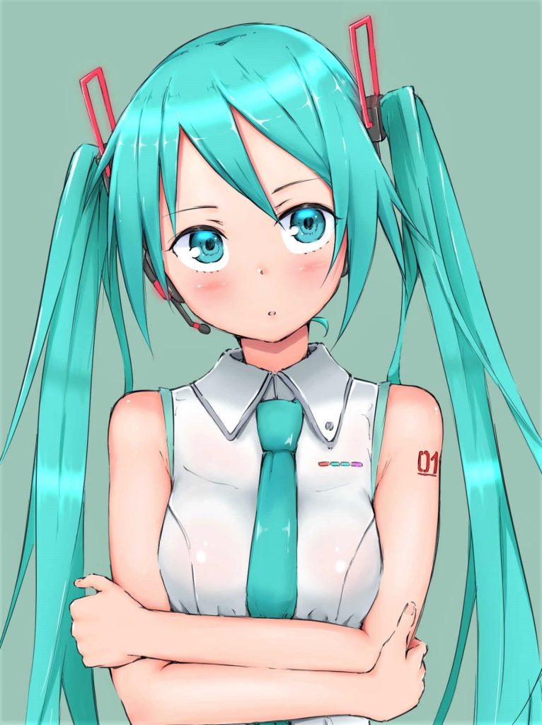 ボーカロイドのオナネタ画像を集めたよー！！