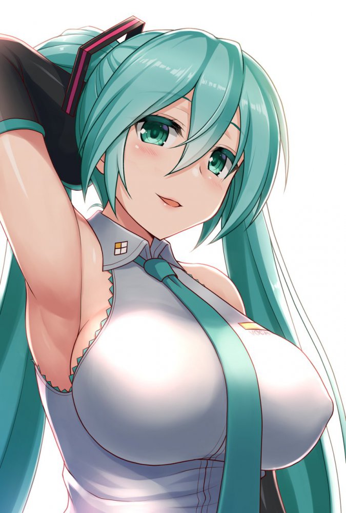 ボーカロイドの抜けるエロ画像ください！