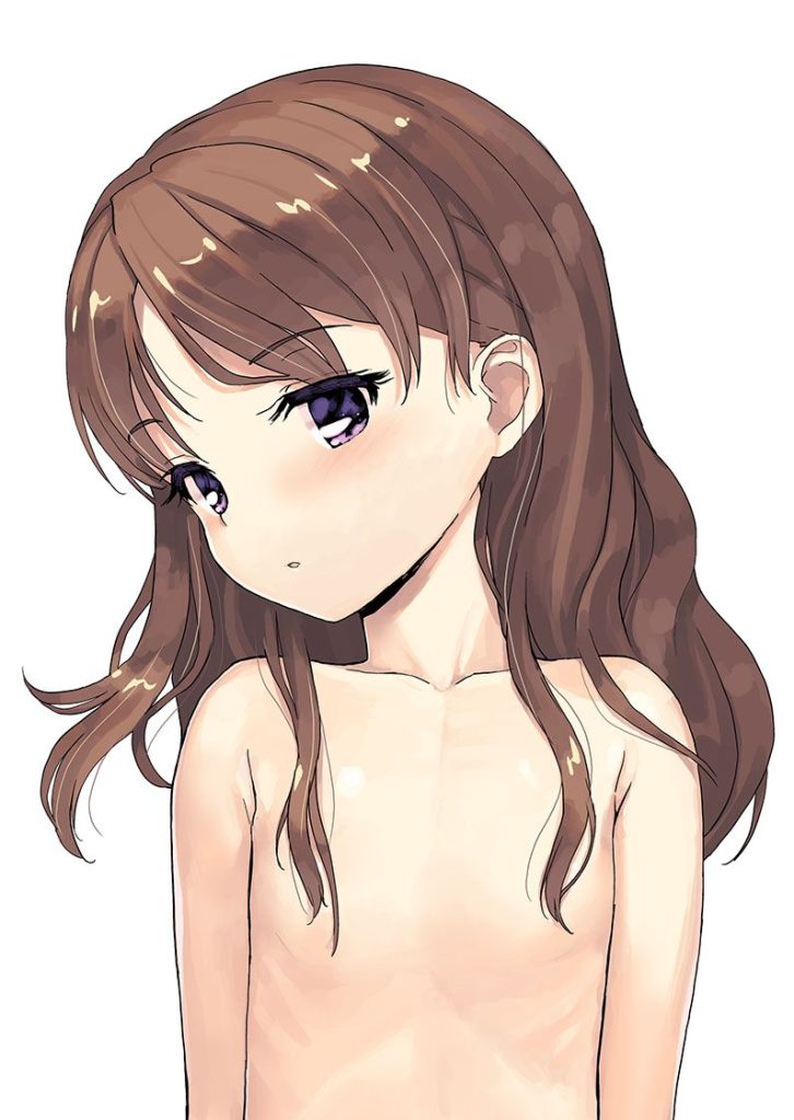 貧乳の二次エロ画像を愛でる。