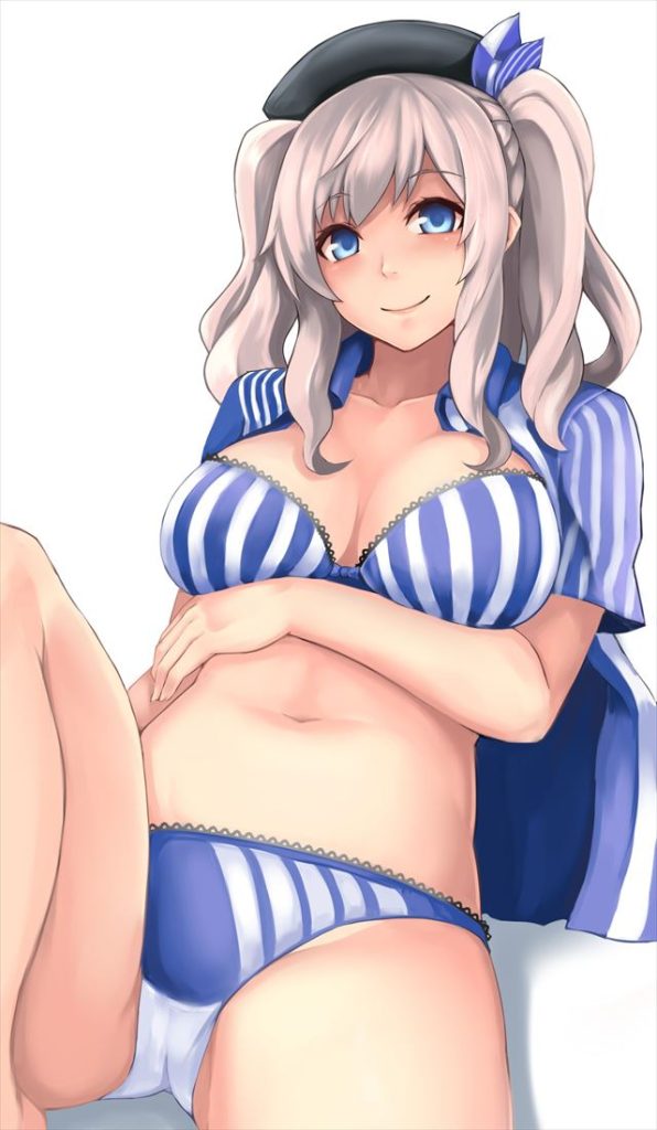 艦隊これくしょんのエロ画像を復習していく