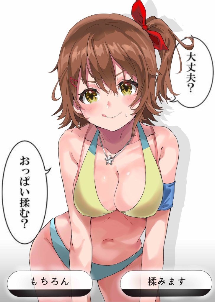 おっぱいのエロ画像なんです！