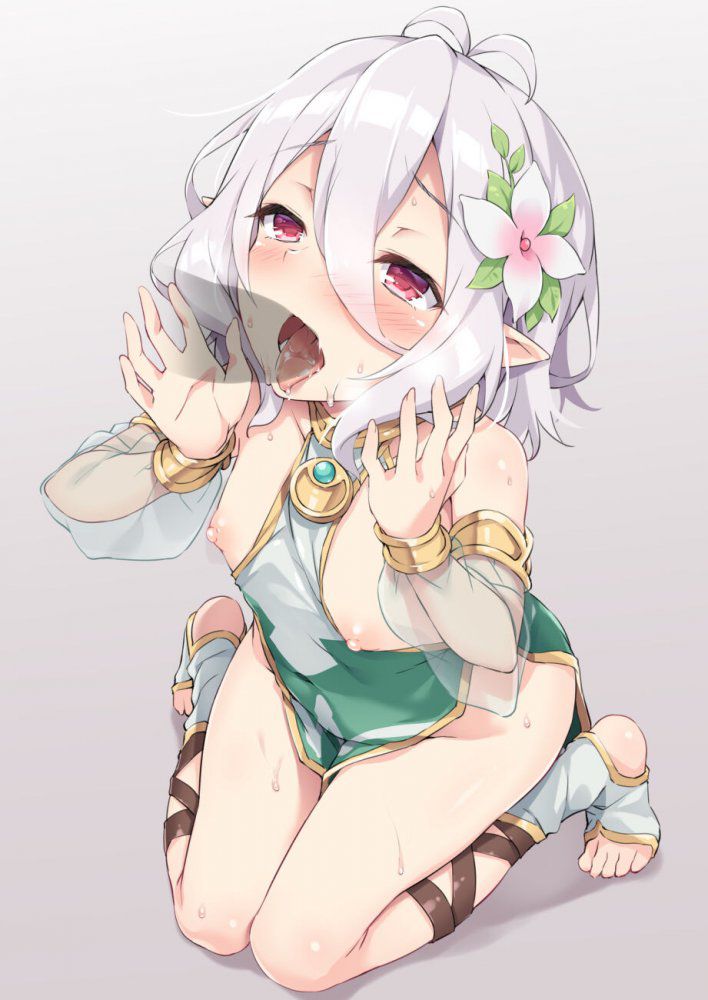貧乳の二次エロ画像くだしあ。