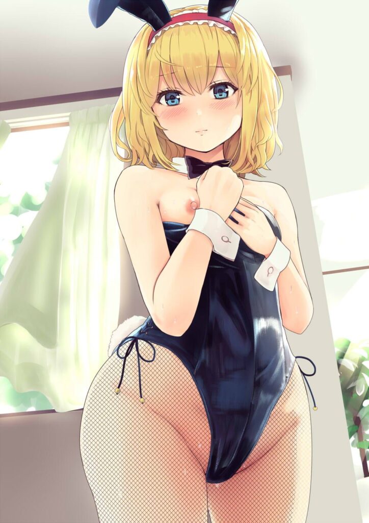 東方Projectの画像が好きな紳士の方はこちらへどうぞ。